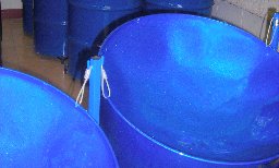 Powder Coated Steel Pans